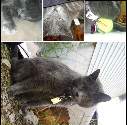 Screenshot 2025 12 22 10.05.04 AM.png