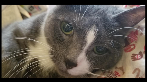 Screenshot 2025 12 22 10.07.00 AM.png