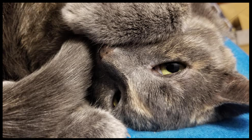 Screenshot 2025 12 22 10.06.40 AM.png