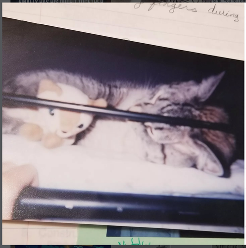 Screenshot 2025 12 22 10.20.02 AM.png