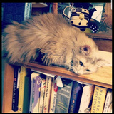 Screenshot 2025 12 22 10.06.18 AM.png