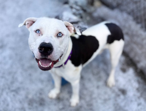 G bPWxaawAAVsks?format=jpg.jpg