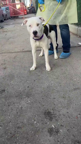 goKtqvR V7Ul9kx6.jpg