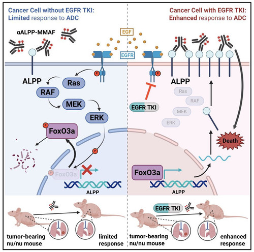 G soi1FbEAAlgqQ?format=jpg.jpg