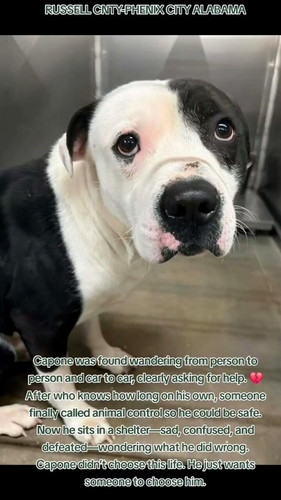 L Hbg6tTc0kJLVKb.jpg