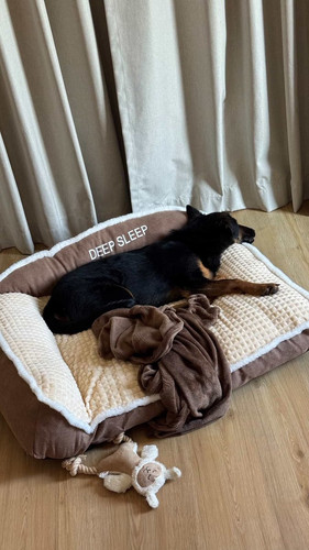 G yVSoLaEAAm AW?format=jpg.jpg