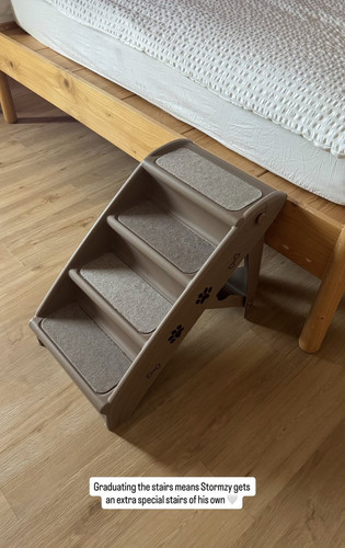 G yVSoFakAAz u8?format=jpg.jpg