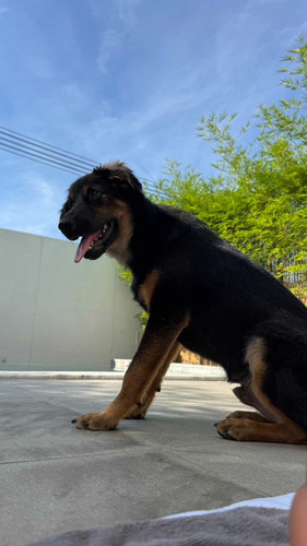 G yVSoOacAAtVEC?format=jpg.jpg