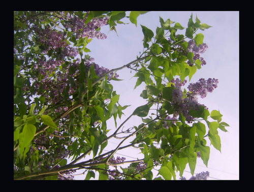 Screenshot 2025 12 25 9.20.47 AM.png