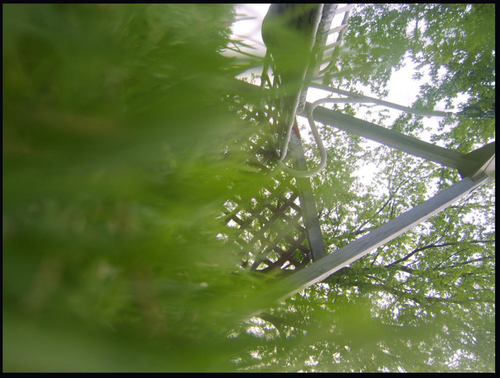 Screenshot 2025 12 25 9.20.34 AM.png