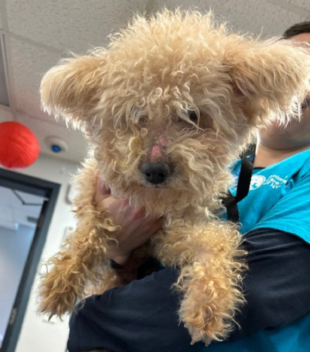 G vyW2SWwAAFQUo?format=jpg.jpg