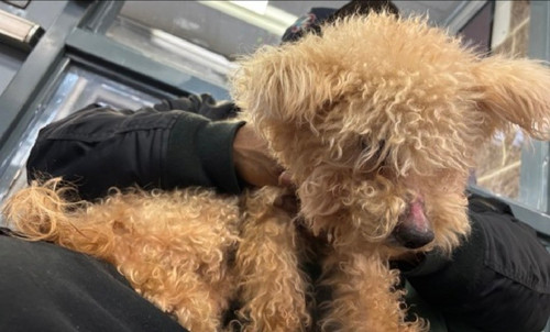 G vyW6 bQAIZ5zL?format=jpg.jpg