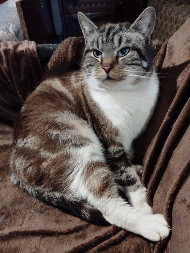 G xvYvLaMAAKCBI?format=jpg.jpg