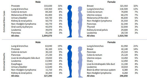 G kKAWOXYAAh zm?format=jpg.jpg