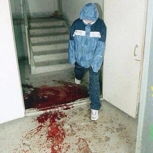file 37.jpg