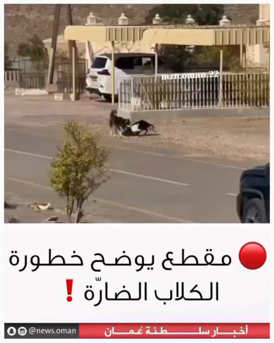 iKSRME2PL2RqWUYc.jpg