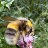 Uy pDK13rvpD3AFU.jpg