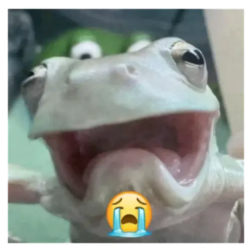 file.webp
