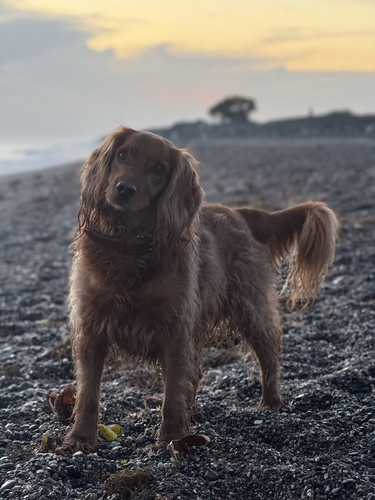 G xexpqWIAAmSn1?format=jpg.jpg