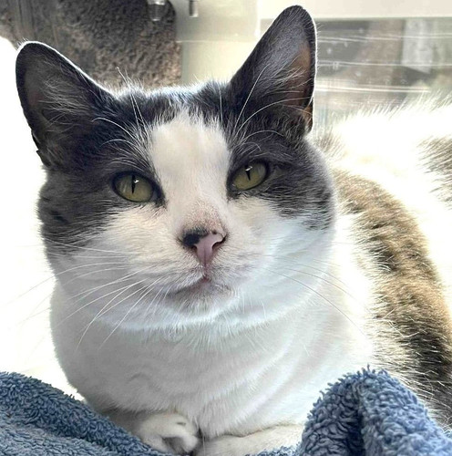 G zrfDPbIAAqkF9?format=jpg.jpg