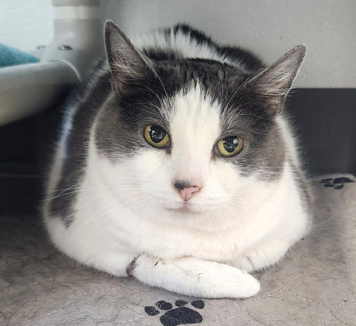 G zraaubcAA2Er5?format=jpg.jpg