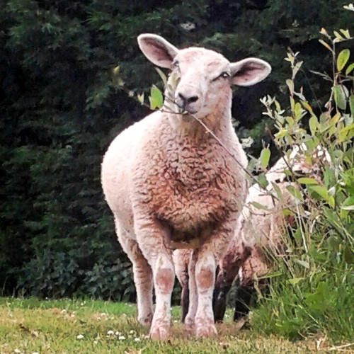 G zeubeWgAAlk4U?format=jpg.jpg