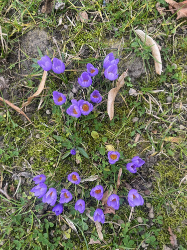 G y5QmMb0AAszl ?format=jpg.jpg