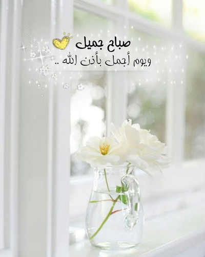 G 0EURoaQAAENZr?format=jpg.jpg