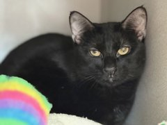 G w7KqZbEAAMdRk?format=png.png