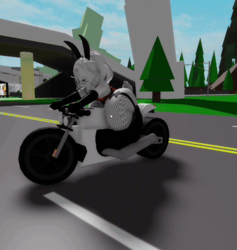 RobloxPlayerBeta QSTvVFNvvk.gif