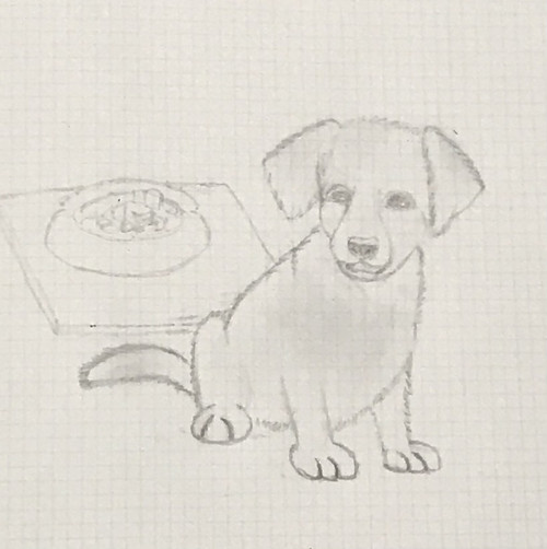 E8107ADF 6624 4AF8 B360 E02ABEE5B157.jpg