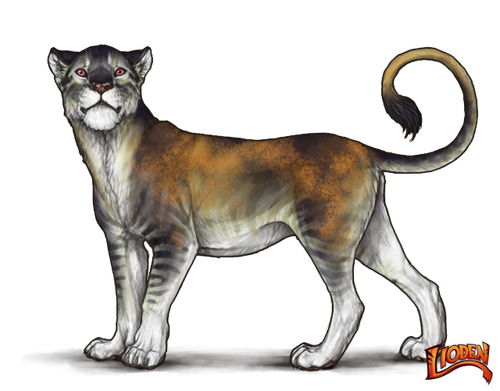 lioden wardrobe 6.png