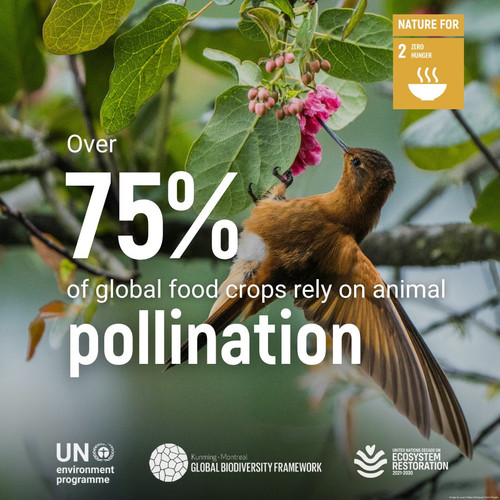 G zoTWvWEAIanzT?format=jpg.jpg