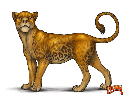 lioden wardrobe 13.png