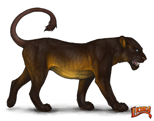 lioden wardrobe 14.png