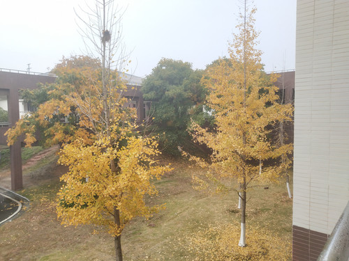 IMG 20251212 163651.jpg