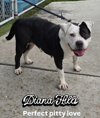 G 0B aOW0AAJqrf?format=jpg.jpg