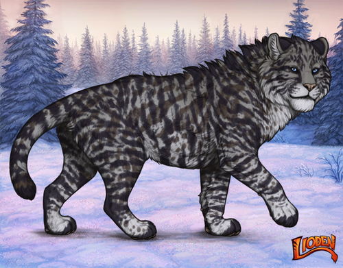 lioden wardrobe 2026 01 18T090859.693.png