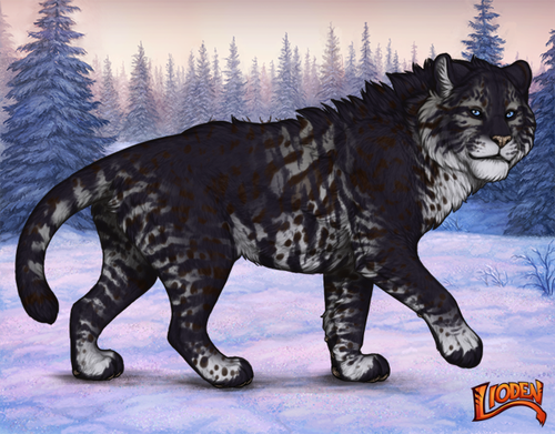 lioden wardrobe 2026 01 18T090932.969.png