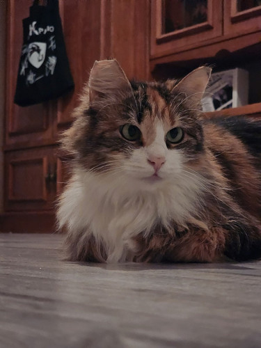 G 2PeGYX0AEA193?format=jpg.jpg