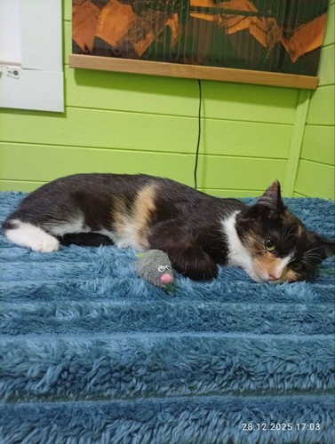 G zveyXWcAAwvsw?format=jpg.jpg