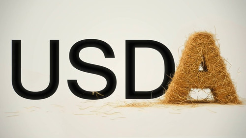 7NTZkcW0nzU MXyH.jpg