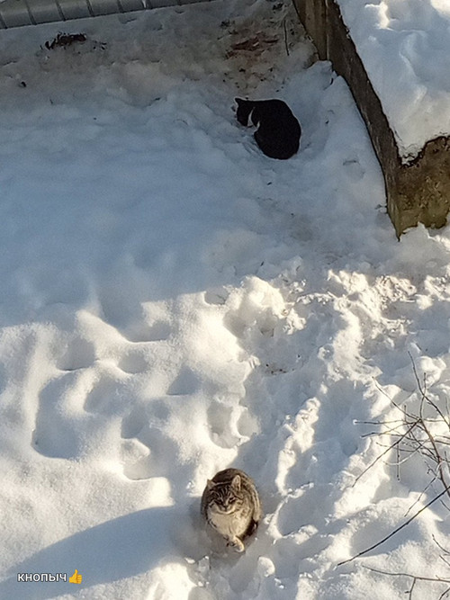 G 2kxhzXMAAnvNS?format=jpg.jpg