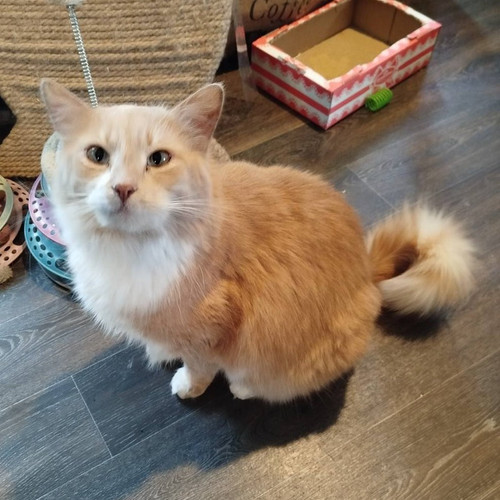 G 29A6zXYAAcxuN?format=jpg.jpg