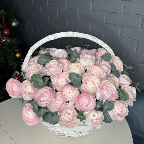 1768517626 23138453.jpg