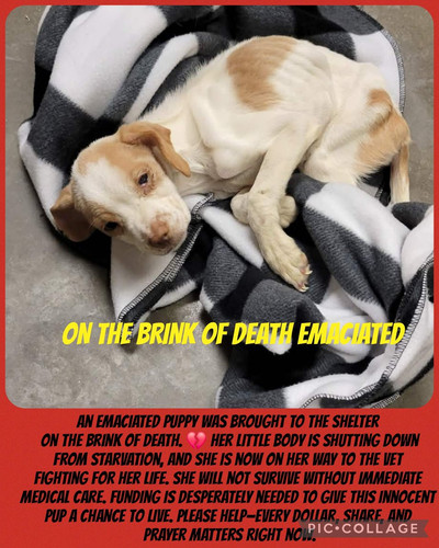 G uqRiMbsAA MR9?format=jpg.jpg