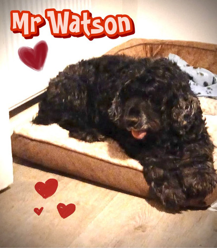 G xf9GWWkAAOiW9?format=jpg.jpg