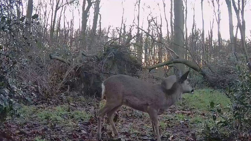 MV tTqUC8xnd9trx.jpg