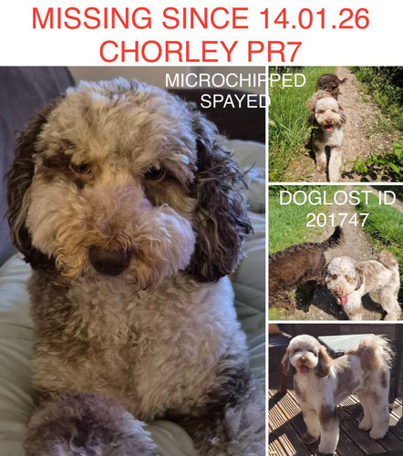 G z6VjSXkAAO16L?format=jpg.jpg