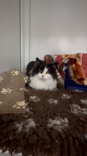 j 4lpBJo9 ZbLfgX.jpg